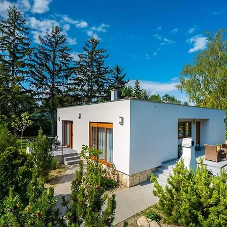 In - Balaton 19832 Siófok