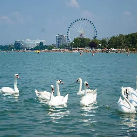 In - Balaton 19832 * Siófok